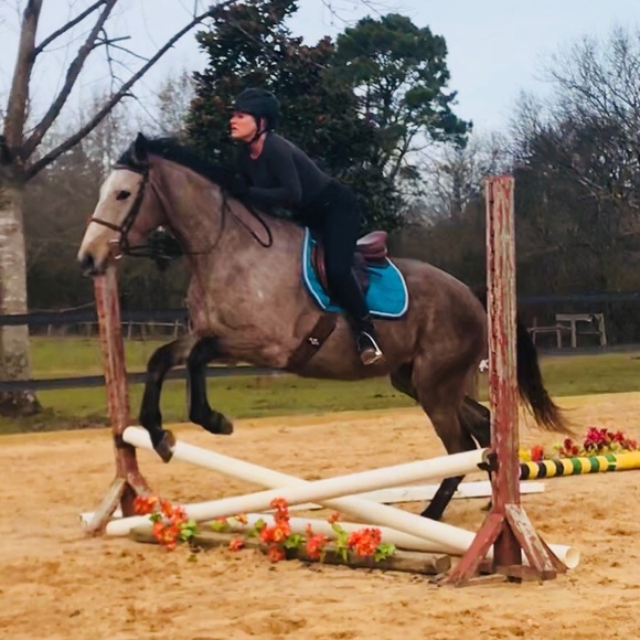 Meet your Posher, Casey - Picture 1 of 1